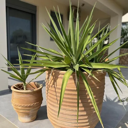 Luxurious At A Unique Spot 빌라